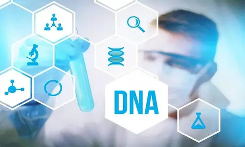 随州亲子鉴定中心怎么样预约,随州专业的DNA鉴定机构怎么样选择